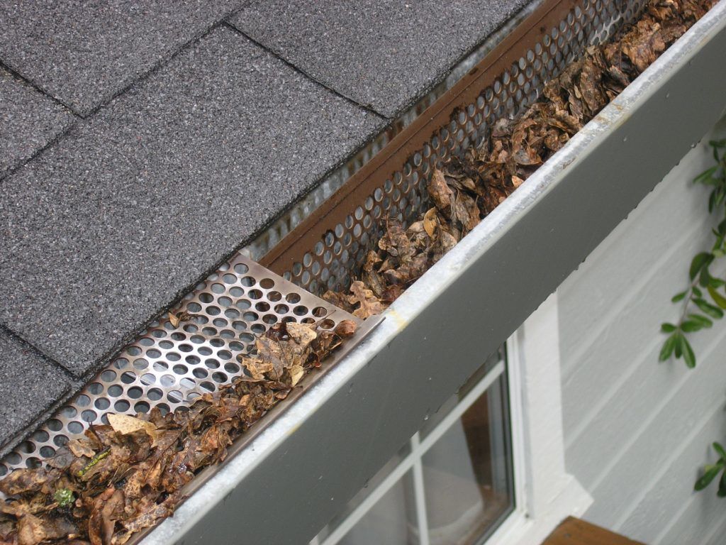 gutter guard blocked gutter