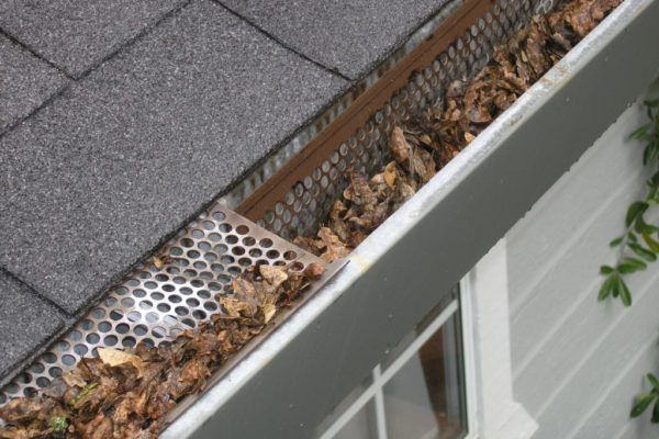 gutter guard blocked gutter
